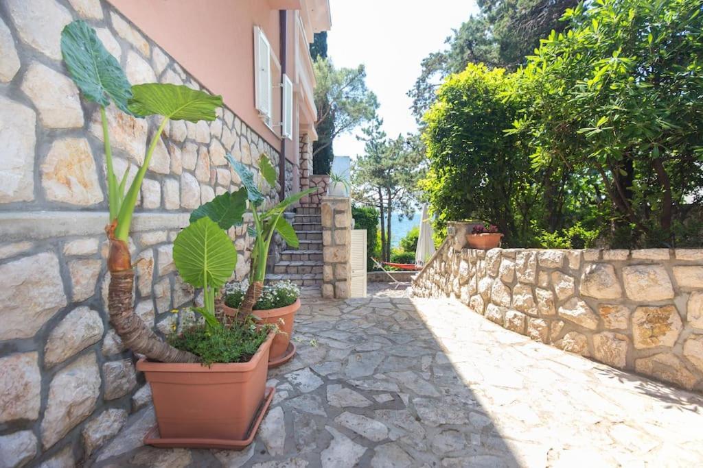 Villa Stefi โนวีวีโนดอลสกี ภายนอก รูปภาพ