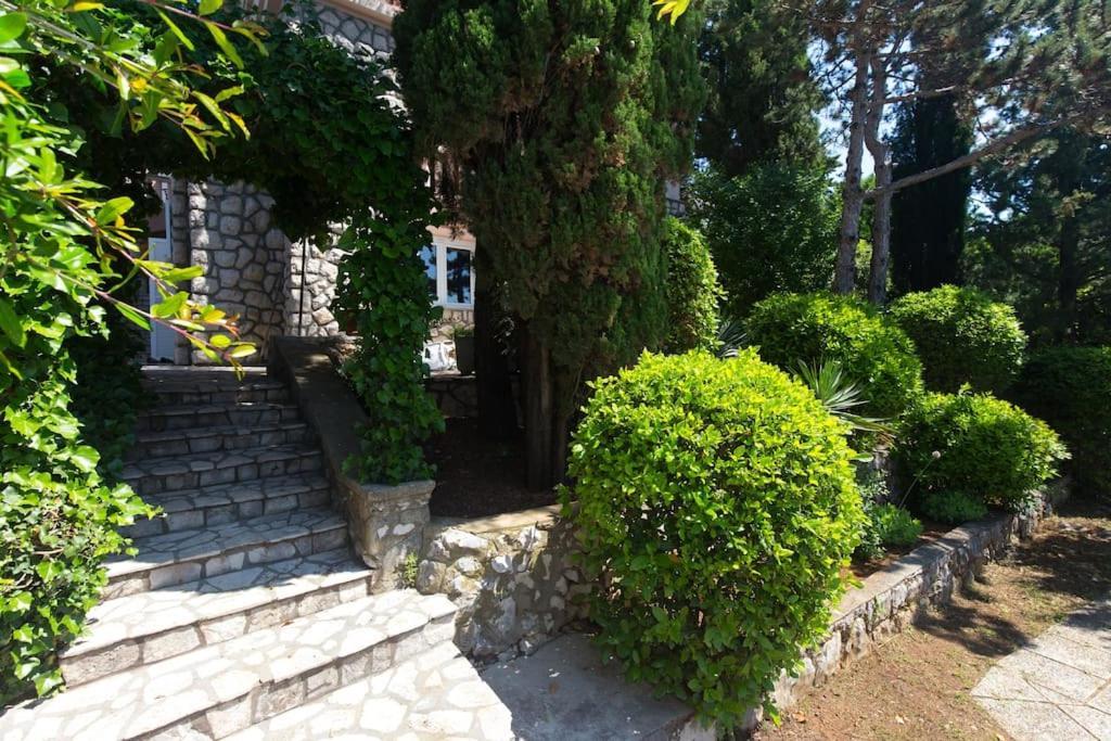 Villa Stefi โนวีวีโนดอลสกี ภายนอก รูปภาพ